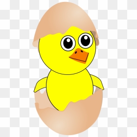 Transparent Baby Chick Png - Chick In Egg Clipart, Png Download - chicken clipart png
