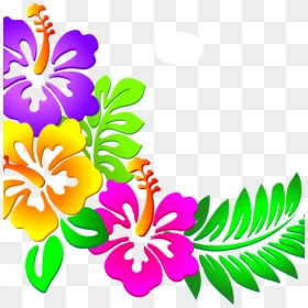Hawaiian Flower Clipart Hawaiian Flower Clip Art Tropical - Vector Clip Art Hawaiian Flowers, HD Png Download - hawaiian png