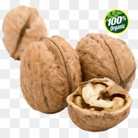 English Walnut Png Image Background - Walnut Compared To An Almond, Transparent Png - walnut png