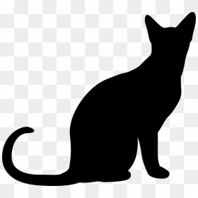 Thumb Image - Cat Silhouette Transparent Background, HD Png Download - cat vector png
