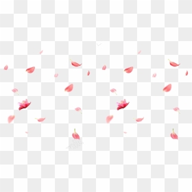 Falling Rose Petals Png Image - Cherry Blossom Falling Png, Transparent Png - falling petals png