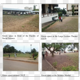 Lawns Used As - Walking, HD Png Download - students walking png