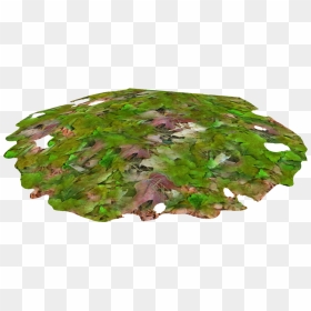 Leaves Pile - Maple Leaf, HD Png Download - pile of leaves png