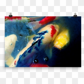 Koi Mockup Transparent Transparent, HD Png Download - koi png