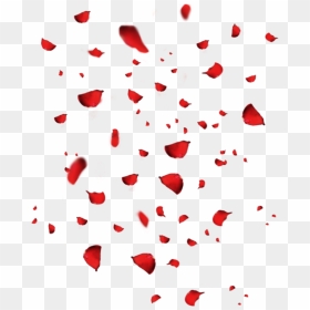 #petals #rosepetals #rosepetal #rose #fallingpetal - Rose Petals Falling Png, Transparent Png - falling petals png