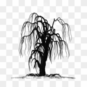 Halloween Dark Tree - Weeping Willow Tattoo, HD Png Download - old tree png