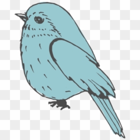 Mountain Bluebird, HD Png Download - bird icon png