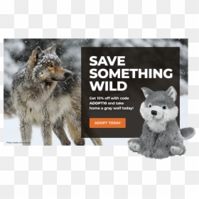Coyote, HD Png Download - wolf link png