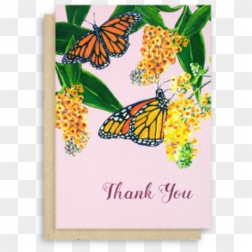 Thank You Butterfly, HD Png Download - thank you card png