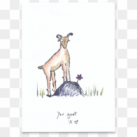 You Goat It - Goat, HD Png Download - baby goat png