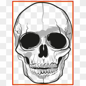 Skull Line Art Png, Transparent Png - evil skull and crossbones png