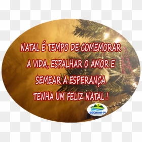 Feliz Natal Png, Transparent Png - feliz natal png