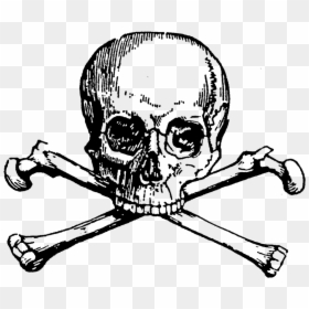 Skull And Bones, HD Png Download - evil skull and crossbones png
