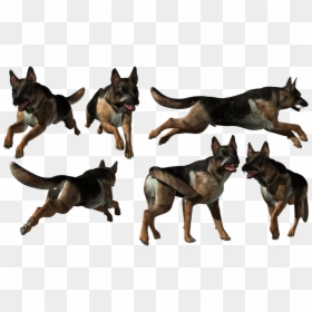 Old German Shepherd Dog, HD Png Download - ken png