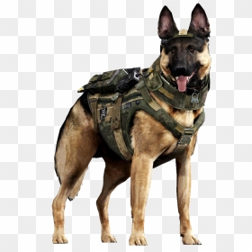 Military German Shepherd Dog, HD Png Download - cod ghosts png