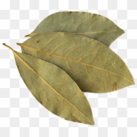 Bay Leaf Transparent Png - Bay Leaf For Jollof Rice, Png Download - pile of leaves png