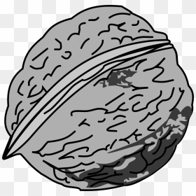 Walnut Clip Arts - Nut Black And White Clipart, HD Png Download - walnut png