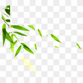 Hand Painted Bamboo Leaves Hd Png - Efectos Viento Png, Transparent Png - pile of leaves png