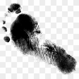 Footprints Grunge, HD Png Download - foot prints png