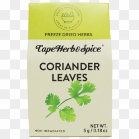 Coriander Leaves - Cicely, HD Png Download - herb png
