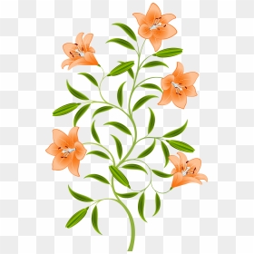 Orange And Green Flowers Png , Png Download - Orange Lily Clipart, Transparent Png - orange flowers png