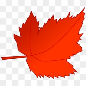 Red And Orange Maple Leaf Vector Image - Clipart Leaf, HD Png Download - japanese maple png