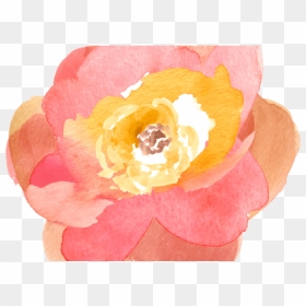 Free Png Download Watercolor Orange Flowers Png Images - Flower Transparent Clipart Watercolor, Png Download - orange flowers png