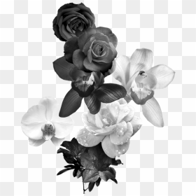 Black And White Flower Monochrome Photography - Black And White Rose Png, Transparent Png - black and white rose png