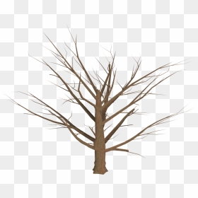 Transparent Dead Tree Logo, HD Png Download - old tree png
