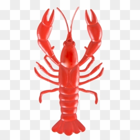 Transparent Crayfish Png - Crawfish Transparent, Png Download - crawfish png