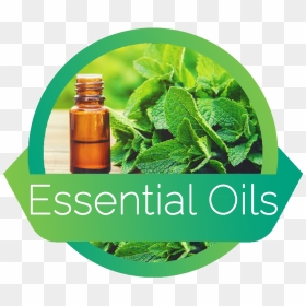 Essentialoils - Cosmetics, HD Png Download - herb png