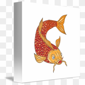 Freelance Drawing Fish - Drawing, HD Png Download - koi png