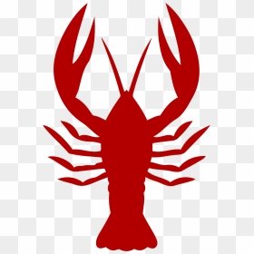 Crayfish Vector Graphics Lobster Seafood Boil Louisiana - Cartoon Clip Art Crawfish, HD Png Download - crawfish png