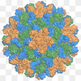 2tbv Capsid Ray - Capsid, HD Png Download - ray png
