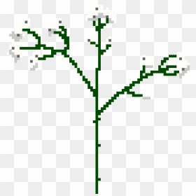 Illustration, HD Png Download - baby's breath png