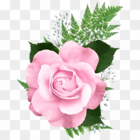 Pink Rose Png Transparent, Png Download - flower bed png