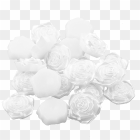 Transparent Black And White Rose Png - Garden Roses, Png Download - black and white rose png