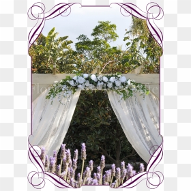 White Rose, Peony & Baby"s Breath Arbor / Arch / Table - English Lavender, HD Png Download - baby's breath png