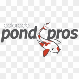 Colorado Pros Building Servicing - Coral Reef Fish, HD Png Download - koi png