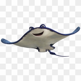 Mr Ray Finding Nemo, HD Png Download - finding nemo png