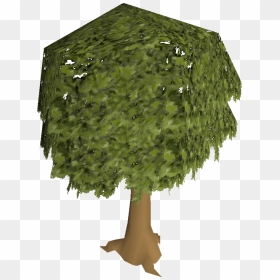 Chopped Tree Clipart Clip Art Free Images Of A Tree - Osrs Png Tree, Transparent Png - old tree png
