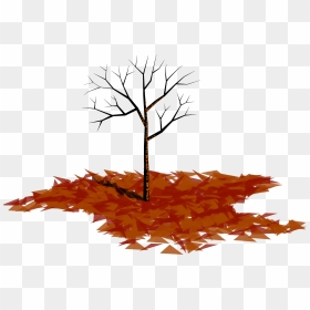 Asset 6 4x - Maple, HD Png Download - koi png