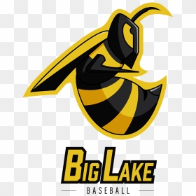 Hornet Png Logo , Png Download - Portable Network Graphics, Transparent Png - hornet png