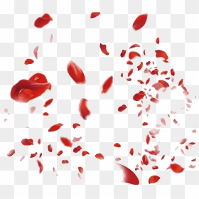 Red Rose Petals Png File - Transparent Png Rose Petals, Png Download - falling petals png