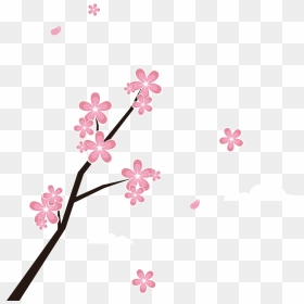 Japan Blossom Branches And Petals Transprent Png - Japanese Cherry Blossoms Clipart Png, Transparent Png - falling petals png