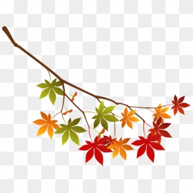 Maple Autumn Leaves Branch Clipart, HD Png Download - japanese maple png