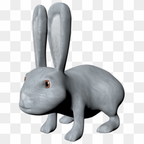 Domestic Rabbit, HD Png Download - scratches texture png