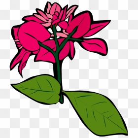 Bougainvillea Flower Clipart, HD Png Download - bougainvillea png