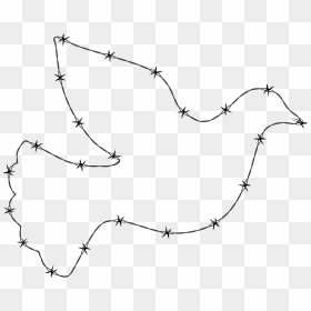 Barbed Wire Peace Dove Clip Arts, HD Png Download - barbed wire fence png
