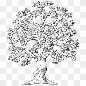 Cherry Tree Clipart Black And White, HD Png Download - old tree png